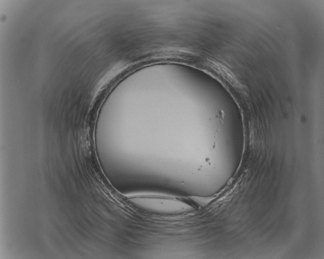 X0000073901164200609011711