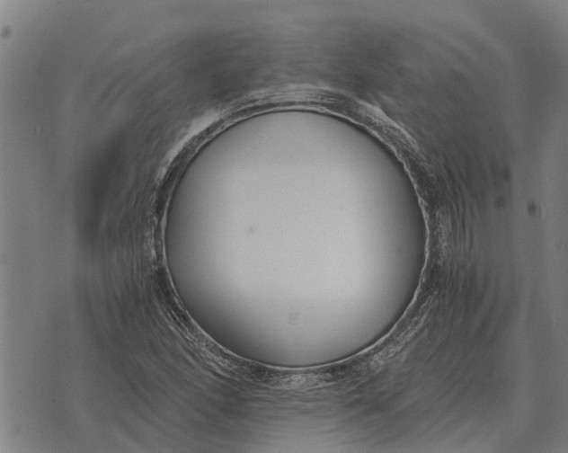 X0000073901166200609011711