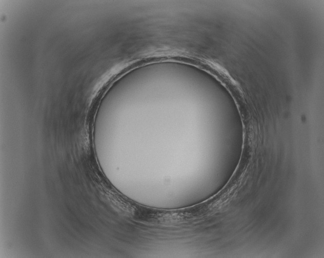 X0000073901167200609011711