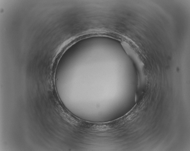 X0000073901168200609011711