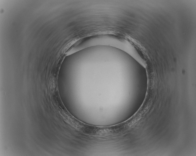 X0000073901169200609011711