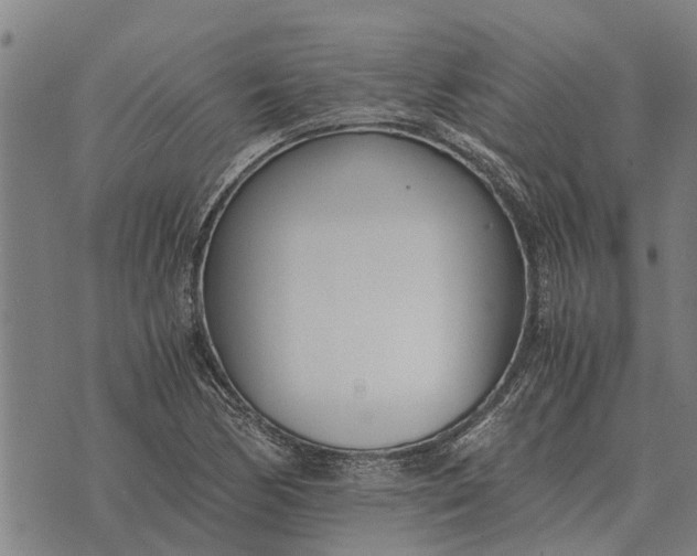 X0000073901170200609011711