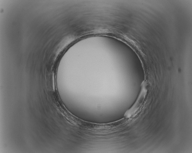 X0000073901171200609011711