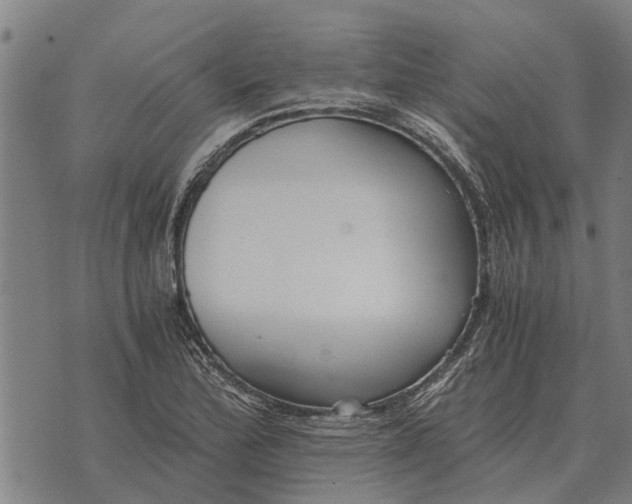 X0000073901172200609011711