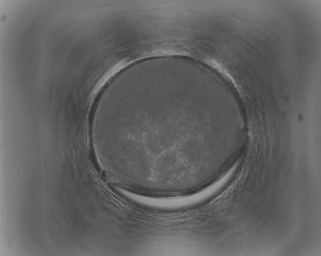 X0000073901173200609011711