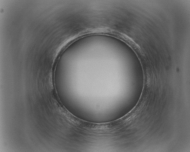 X0000073901174200609011711