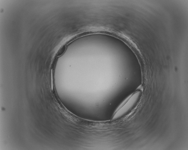 X0000073901175200609011711