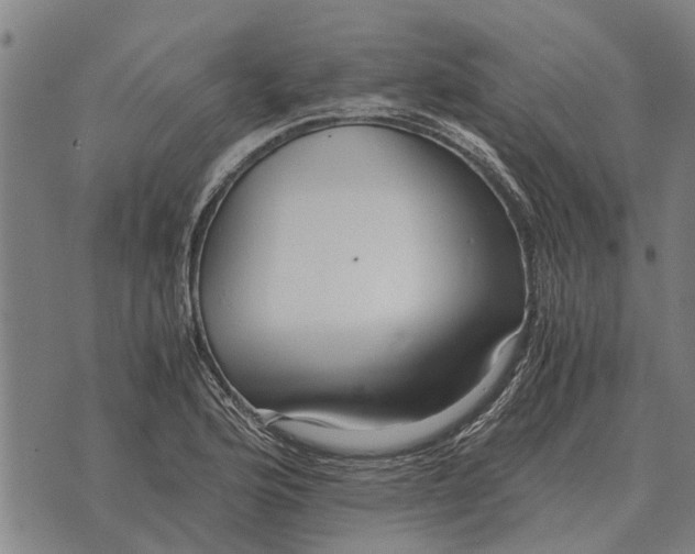 X0000073901176200609011711