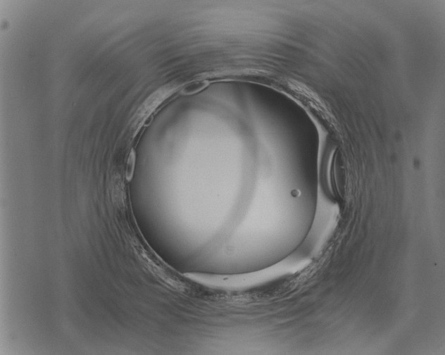 X0000073901177200609011711