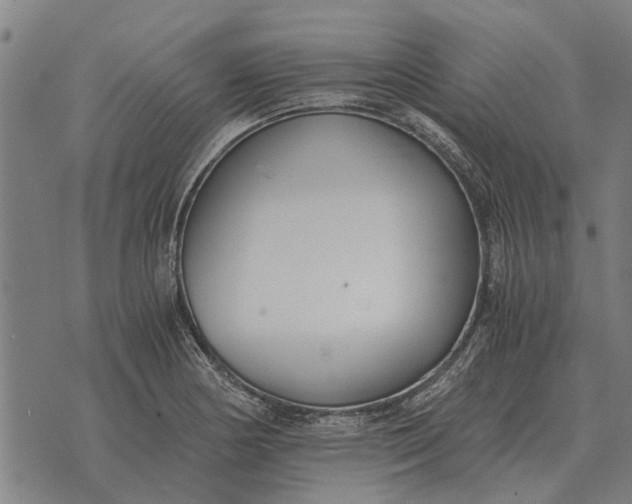 X0000073901178200609011711