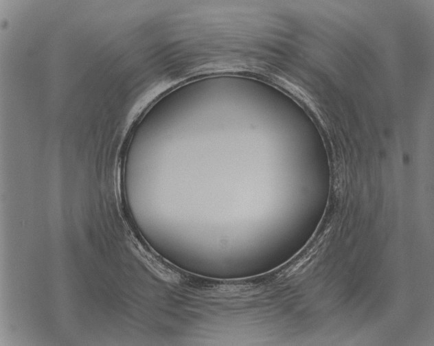 X0000073901179200609011711