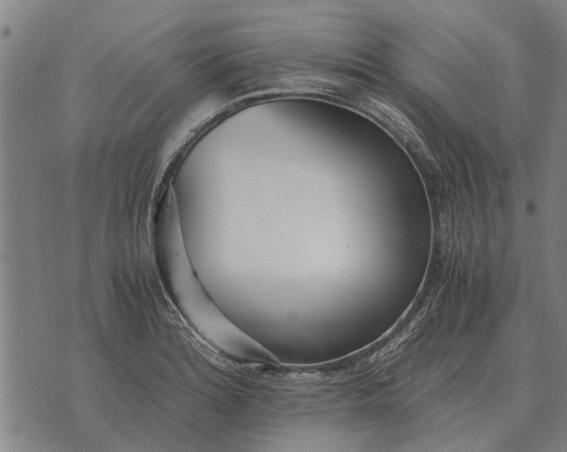 X0000073901180200609011711