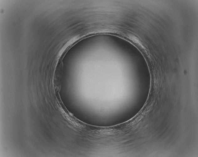 X0000073901181200609011711