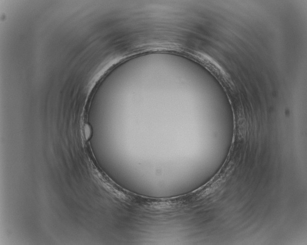 X0000073901182200609011711