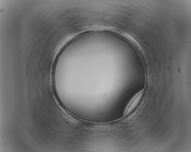 X0000073901183200609011711