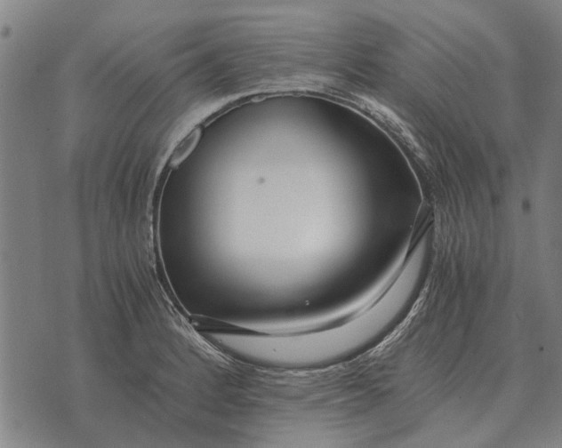 X0000073901184200609011711