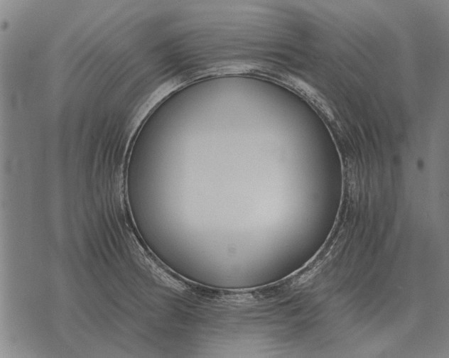 X0000073901186200609011711