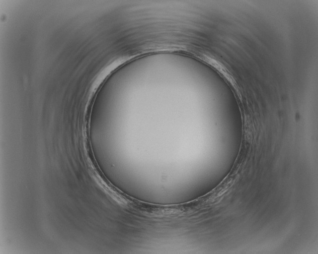 X0000073901187200609011710