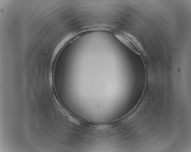 X0000073901188200609011710