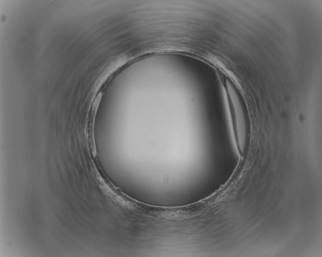 X0000073901189200609011710