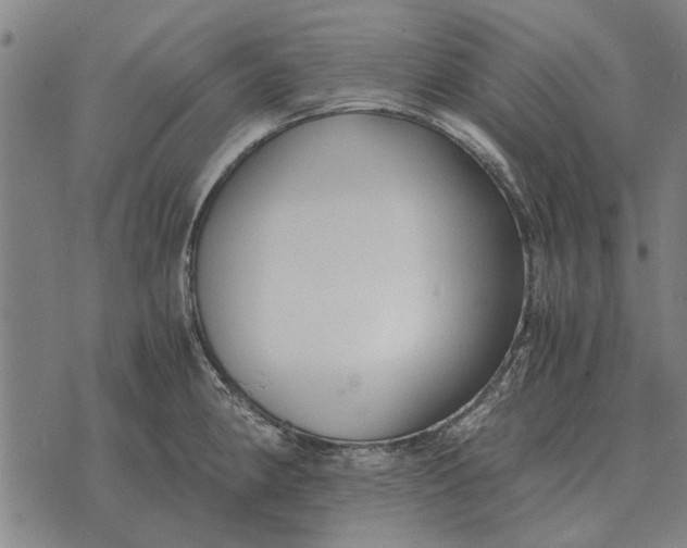 X0000073901190200609011710