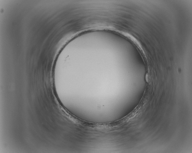 X0000073901191200609011710