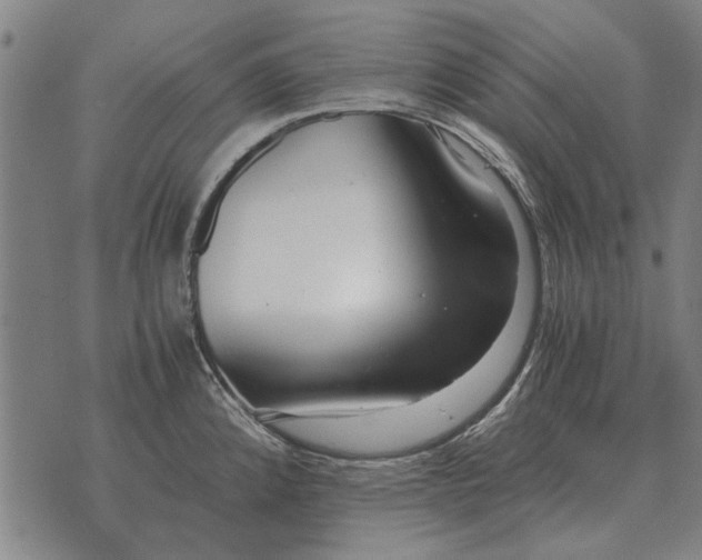 X0000073901192200609011710