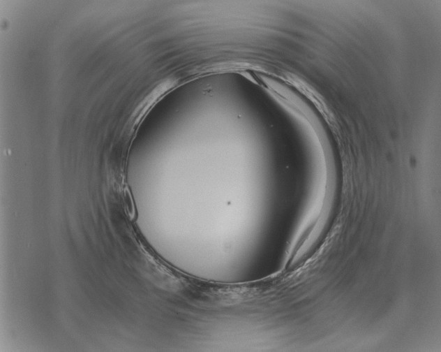 X0000073901193200609011710