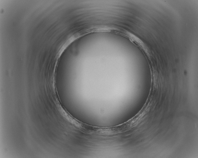 X0000073901194200609011710