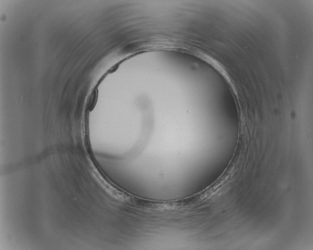 X0000073901195200609011710