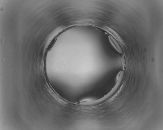 X0000073901196200609011710