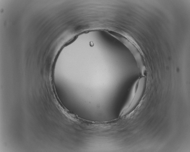 X0000073901197200609011710