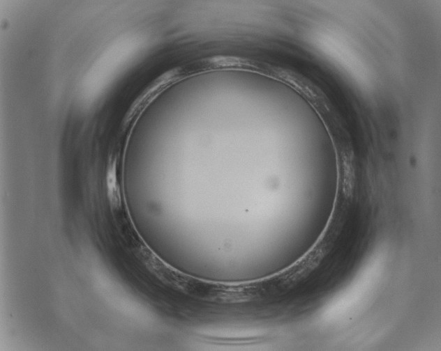 X0000073901198200609011710