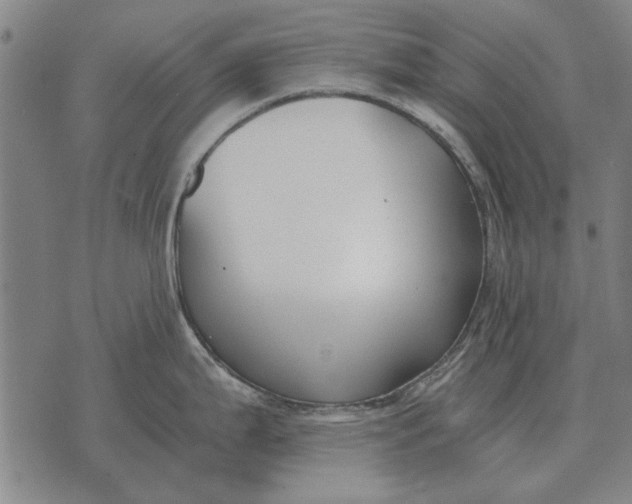 X0000073901199200609011710