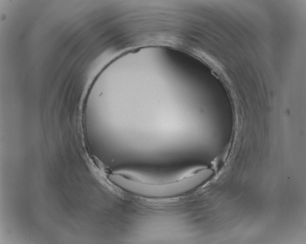 X0000073901200200609011710