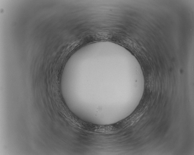 X0000073901201200609011709