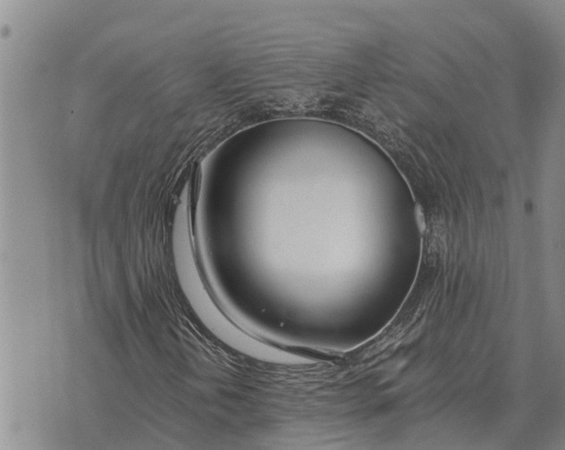 X0000073901202200609011710