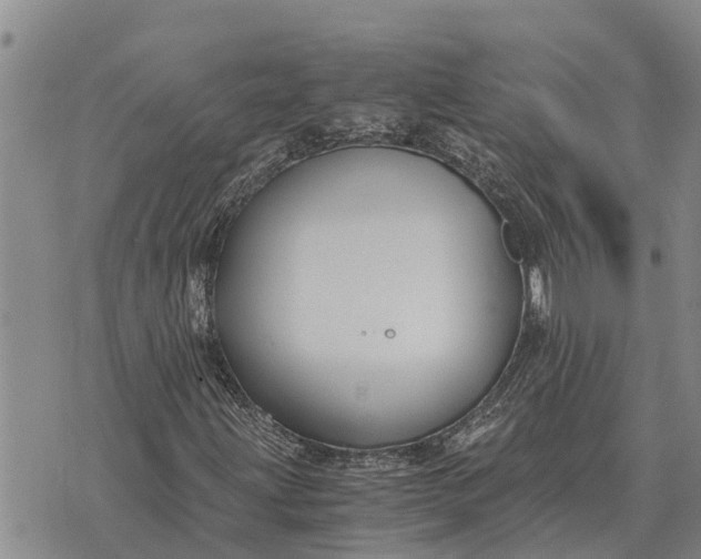 X0000073901203200609011710