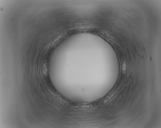 X0000073901204200609011710