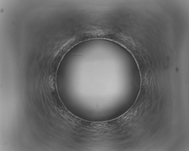 X0000073901205200609011710