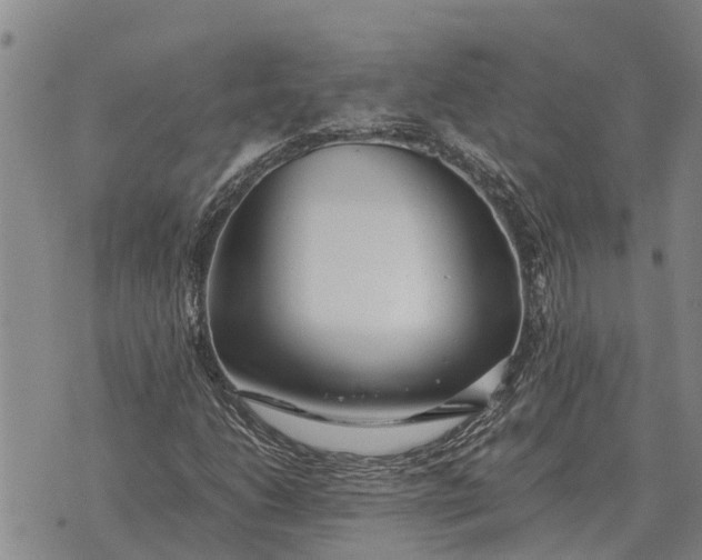 X0000073901206200609011710