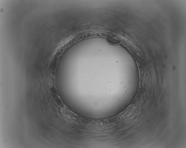 X0000073901207200609011710