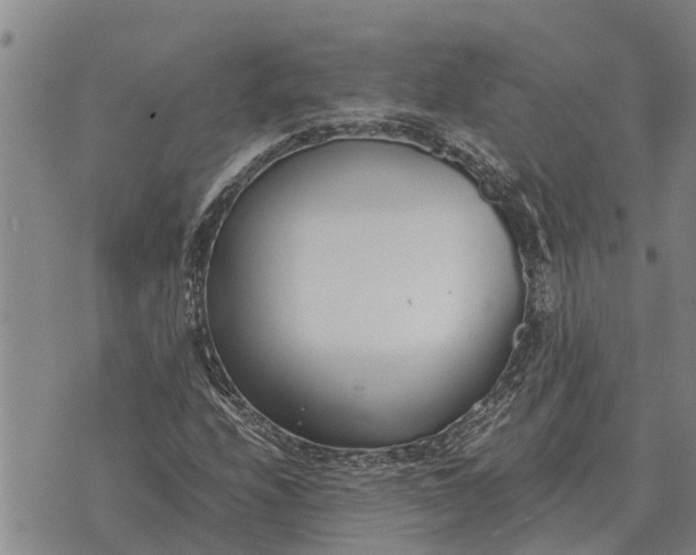 X0000073901208200609011710