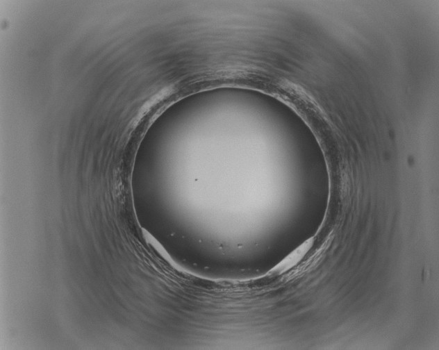 X0000073901210200609011710