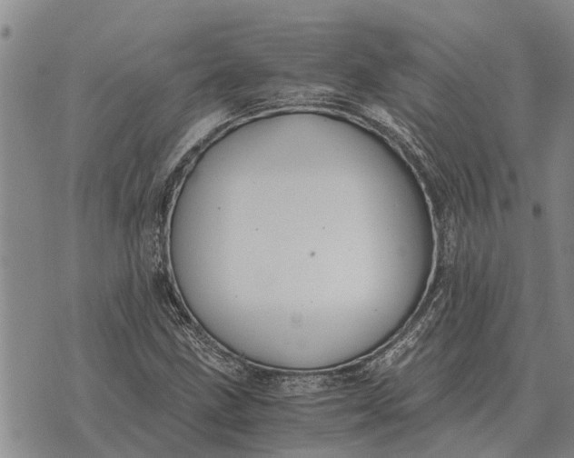 X0000073901211200609011710