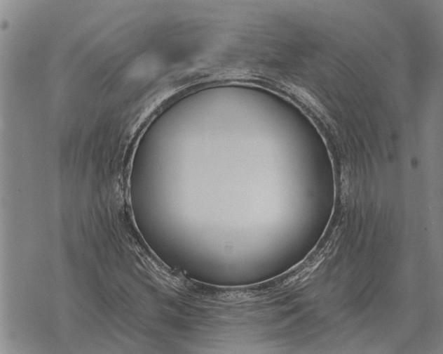 X0000073901212200609011710