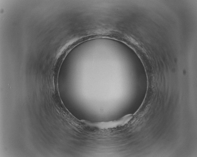 X0000073901214200609011710