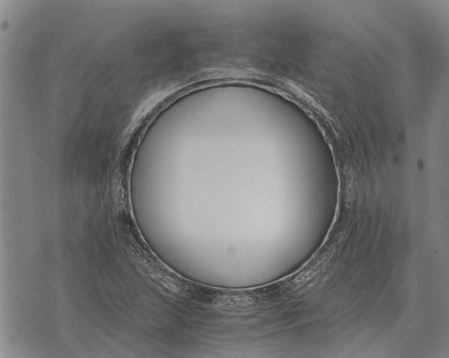 X0000073901215200609011710