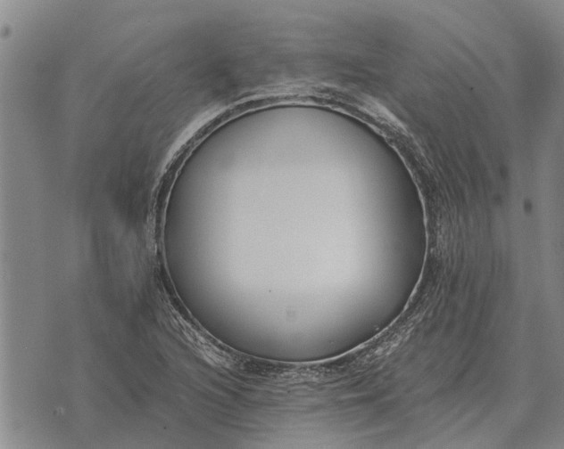 X0000073901216200609011710