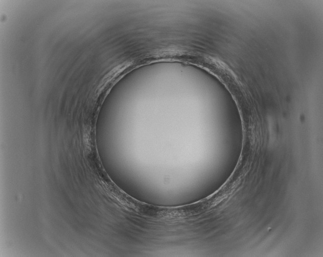 X0000073901217200609011710